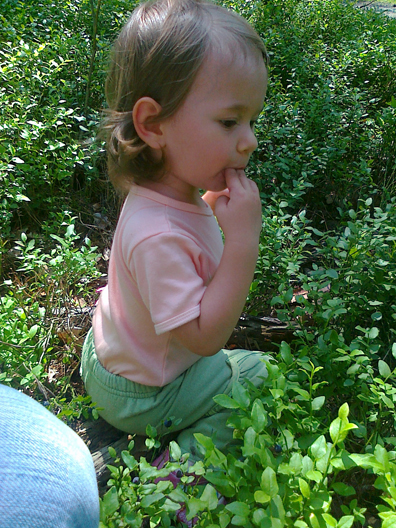 Weronika skupiona na zbieraniu jagód