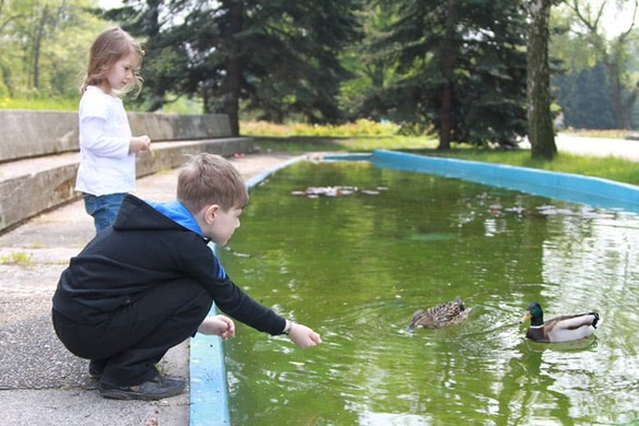 Weronika i Maciej karmią kaczki nad stawem w zoo w Chorzowie.