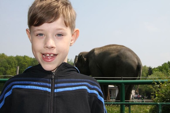 Maciej uśmiecha się przy ogrodzeniu wybiegu ze słoniem.