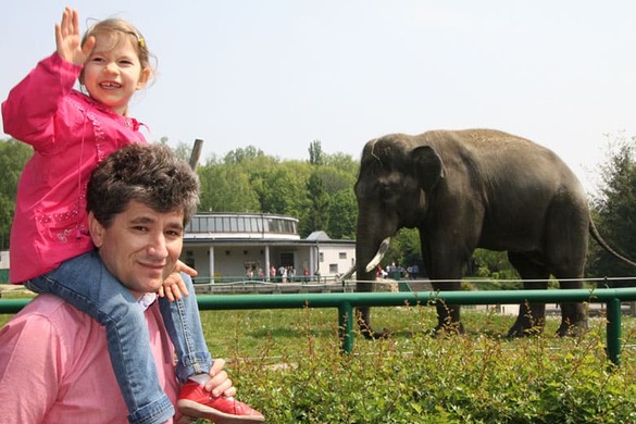 Weronika na ramionach taty przy wybiegu słoni – rodzinny moment.