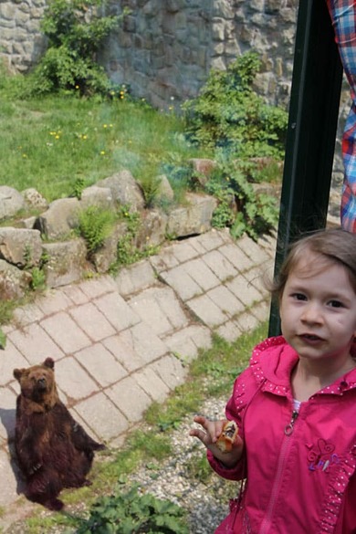 Weronika przed wybiegem niedźwiedzia – niedźwiedź prosi o smakołyk.