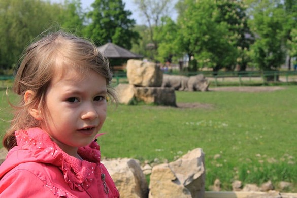 Weronika z przejętą miną – w tle dwa nosorożce na wybiegu.